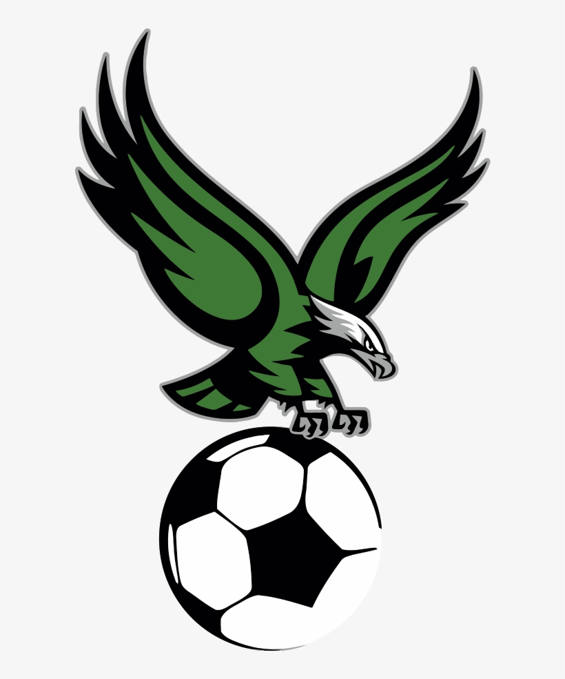 About Stretton Eagles Jfc - Hillview Middle School Logo, transparent png