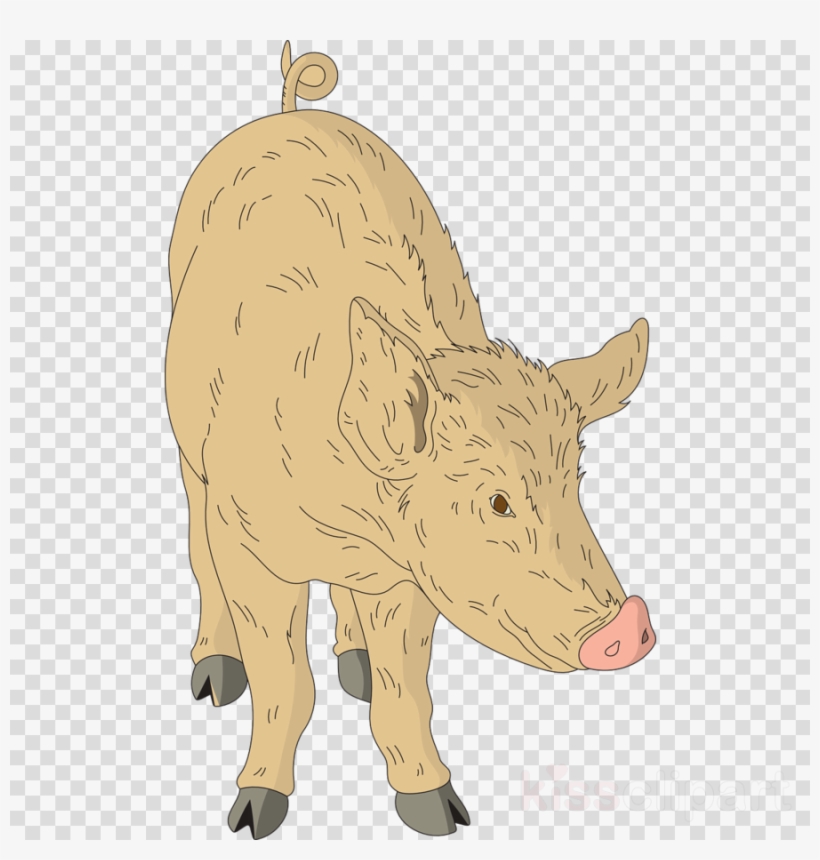 Emojis Sin Fondo, transparent png