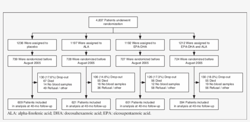 Flow Chart Of The Alpha Omega Trial - Diagram, transparent png