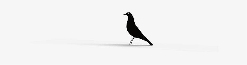 The Communication Between The Reader And The Card Is - Boat Tailed Grackle, transparent png