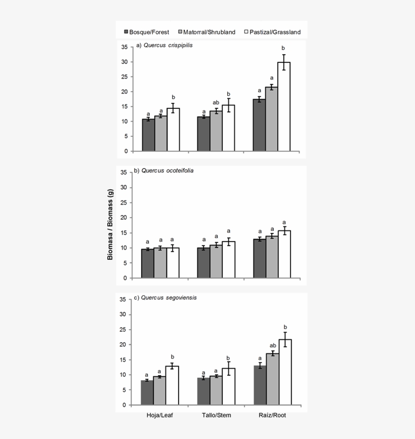 Figure 5 Biomass Accumulated Of Three Quercus Species - Diagram, transparent png