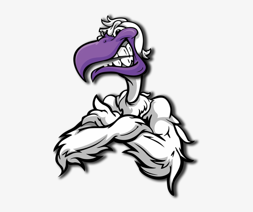 Seagull Uav - Angry Seagull Cartoon, transparent png