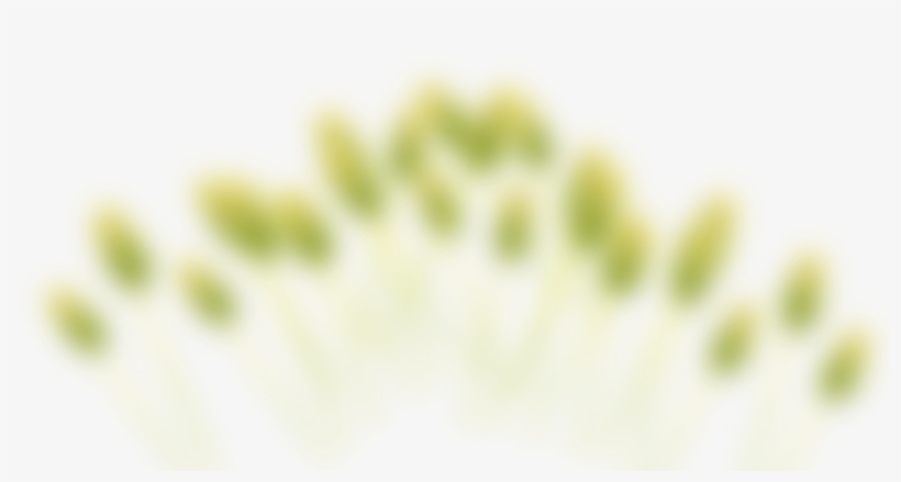 Slide B 2 - Transparent Headers, transparent png