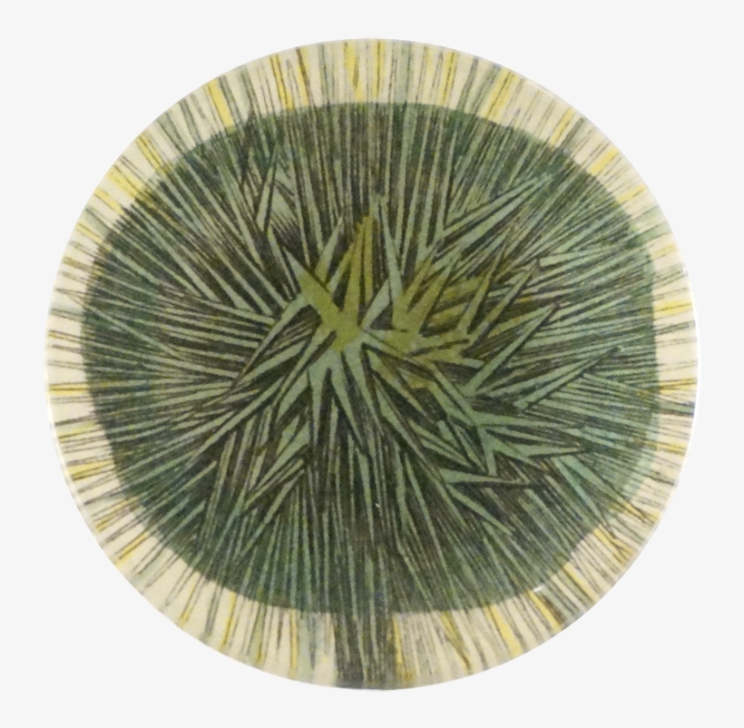 Plants, transparent png