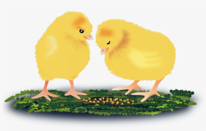 Report Abuse - Animal, transparent png