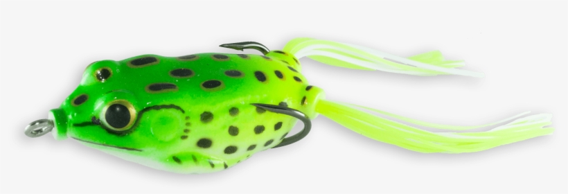 Green Frog - Frog, transparent png