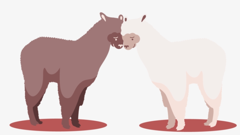 Empathy - Lama Png, transparent png