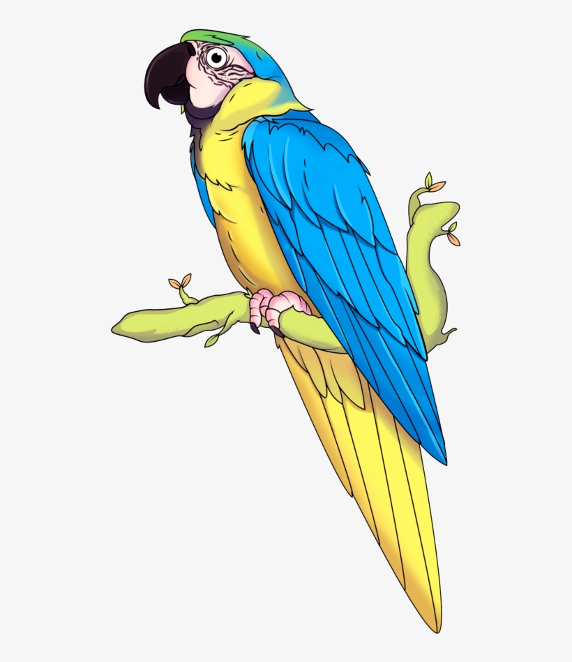 Guacamaya - Scarlet Macaw, transparent png