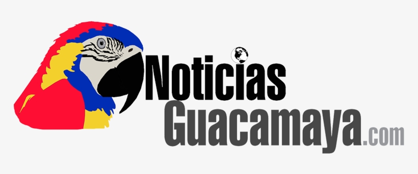 News, transparent png