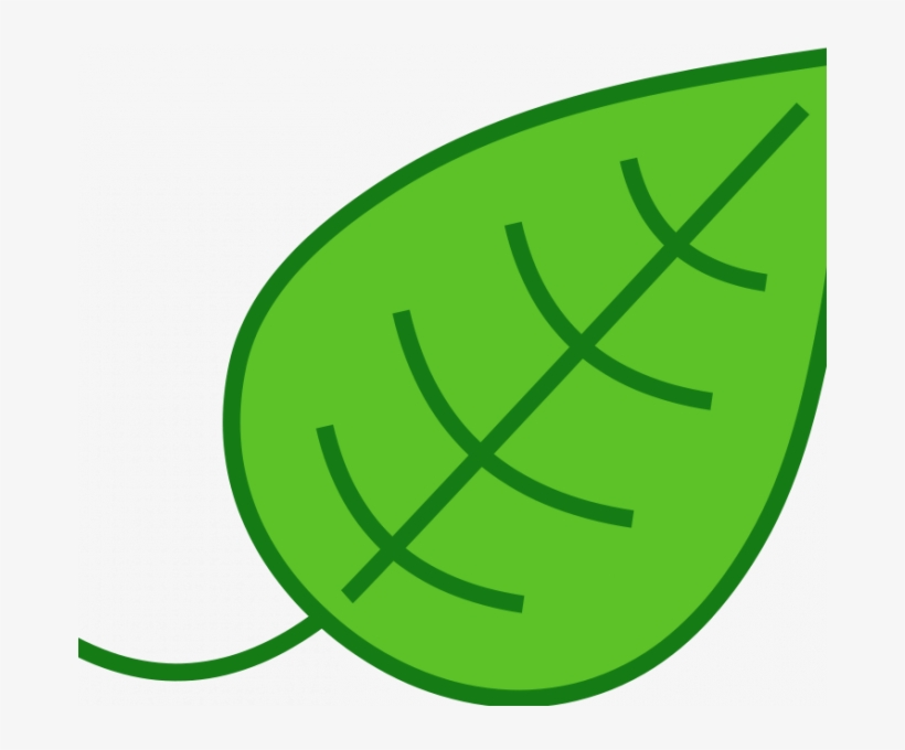 Feather Png Royalty Free - Leaf Clip Art, transparent png