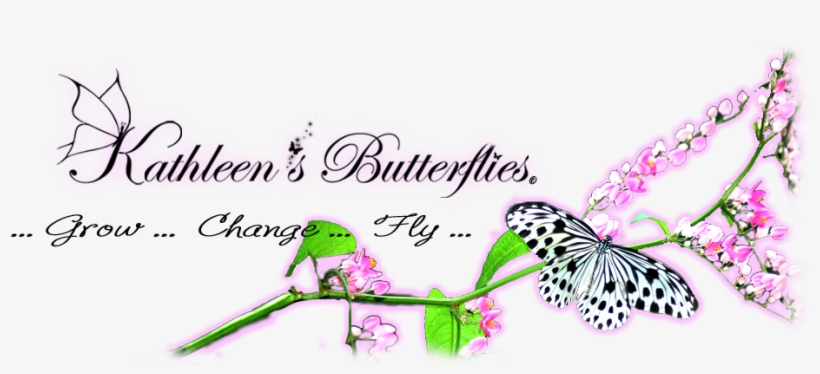 Kathleen's Butterflies - Ashleigh & Burwood, transparent png