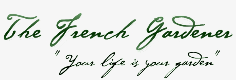 Logo - Loving Yourself: Four Steps To A Happier You - Trade, transparent png