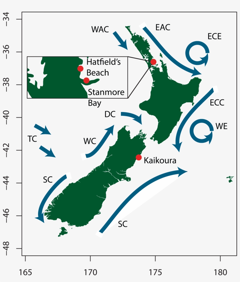 Download Full-size Image - New Zealand Civil Ensign Flag And Map Stadium Bla, transparent png