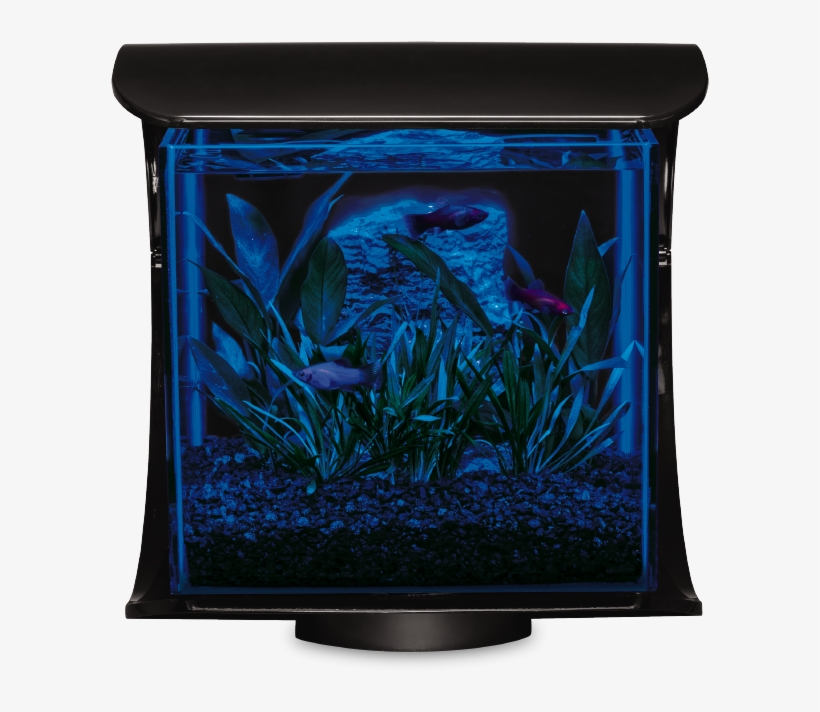 Silhouette Desktop Kit - Marineland Silhouette Square Glass Aquarium Kit 3-gallon,, transparent png
