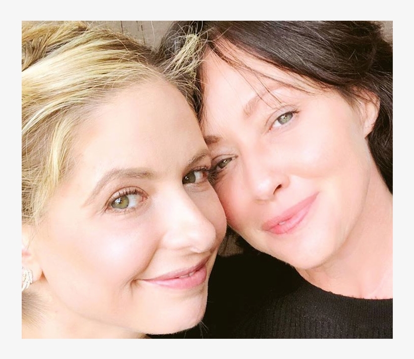Sarah Michelle Gellar - Shannen Doherty Sarà Michelle Gellar, transparent png