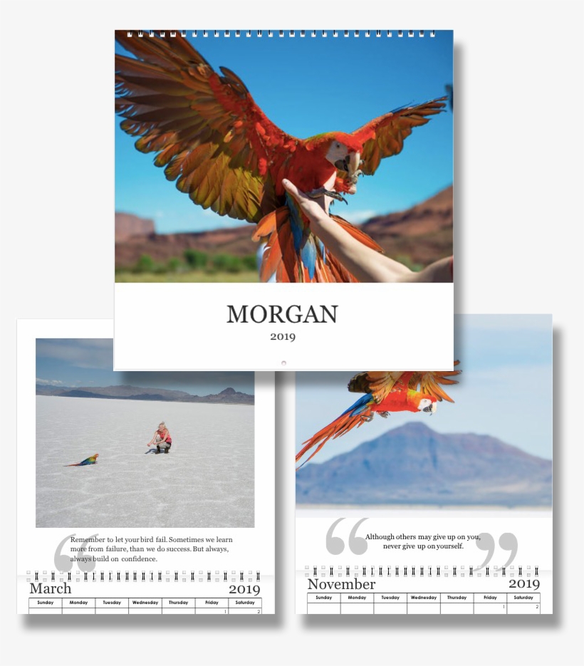 Be Inspired Each Day As You Re-live The Breathtaking, transparent png