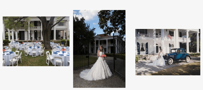 Wedding Events And Venue In Gonzales Texas - Texas, transparent png