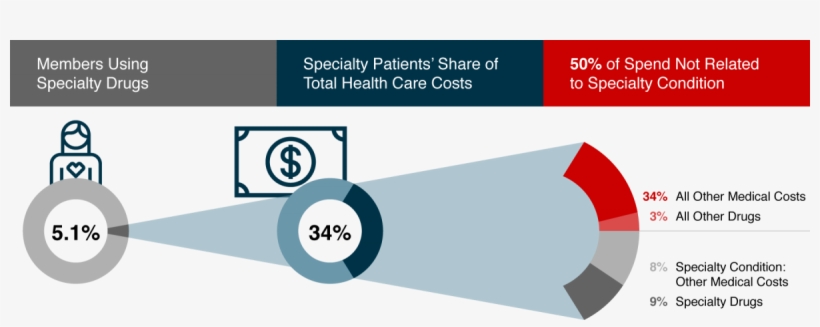 The Evolution Of Specialty Management - Circle, transparent png