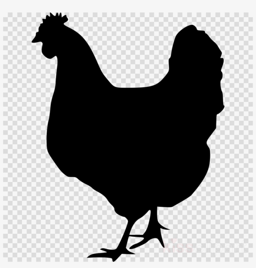 Chicken Silhouette