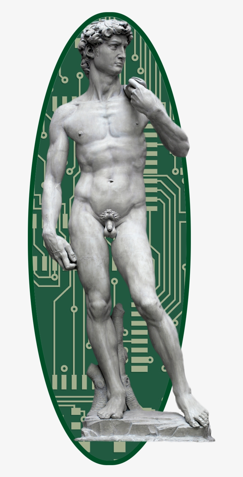 Clip Art Possenti Leonardo University Of Firenze Bigazzi - Florence, transparent png