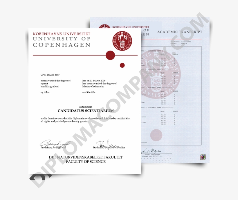 Fake Denmark Diplomas And Transcripts - University Of Copenhagen, transparent png