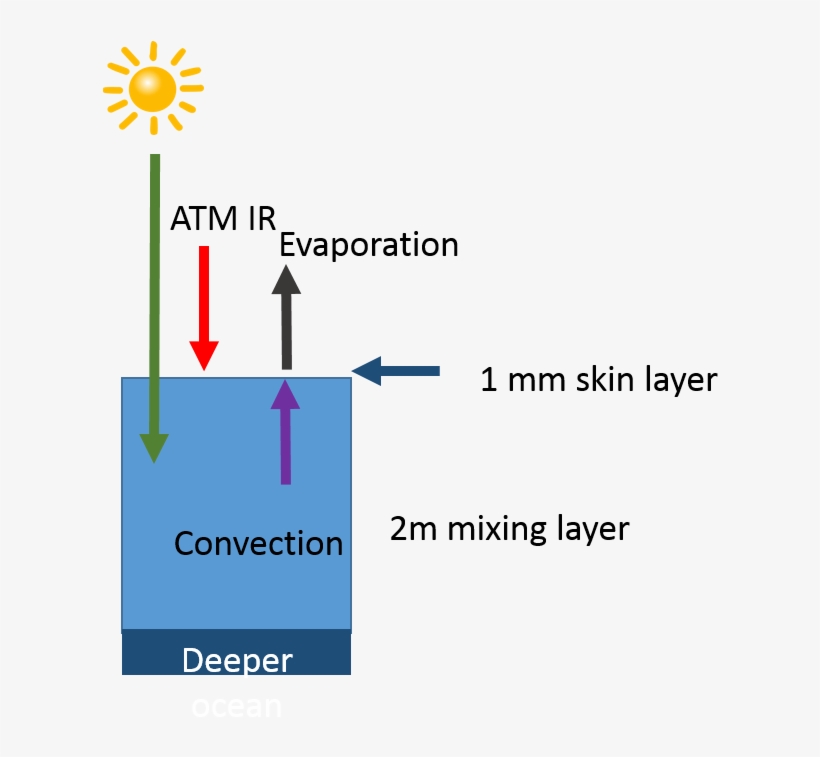 Start With The Observation That Sunlight Is Absorbed - Deliberate Creator Pillow Case, transparent png