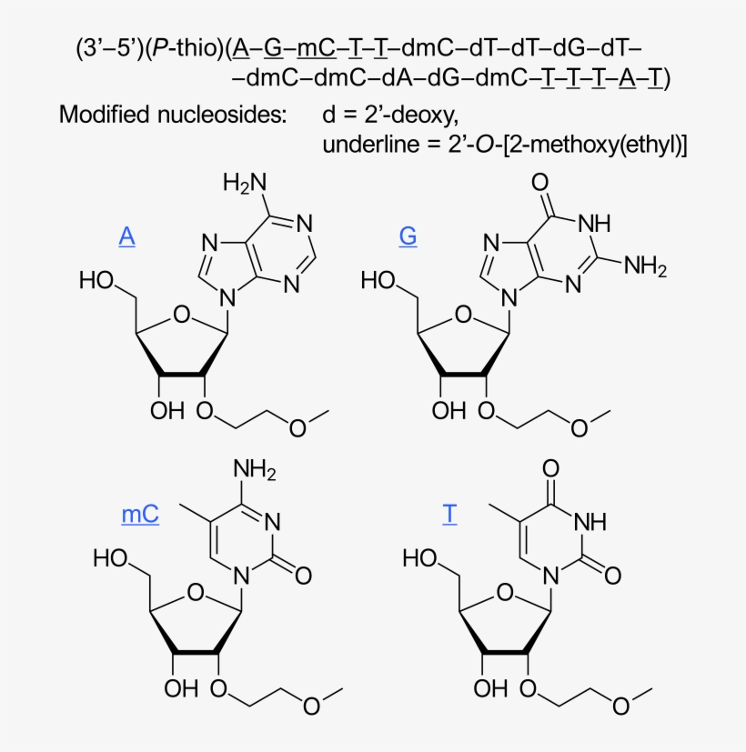 File - Volanesorsen - Svg - Diagram, transparent png