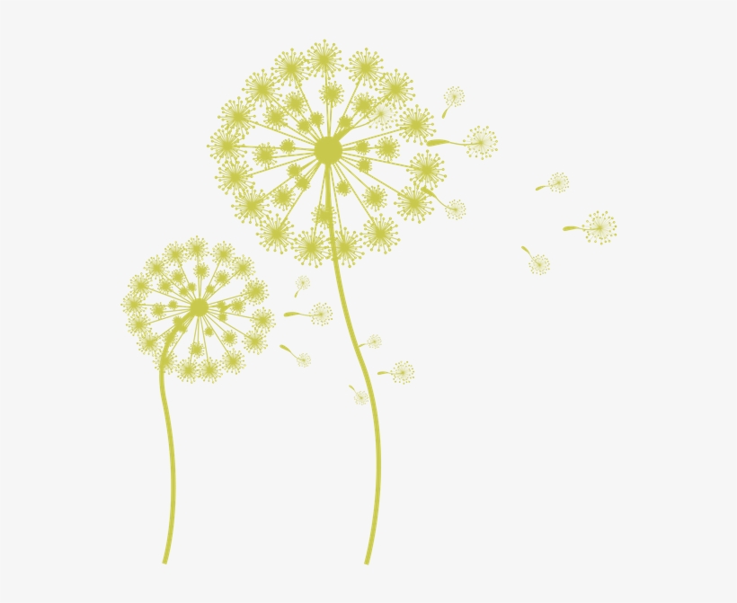 Dandelion - Flying Dandelion Silhouette, transparent png