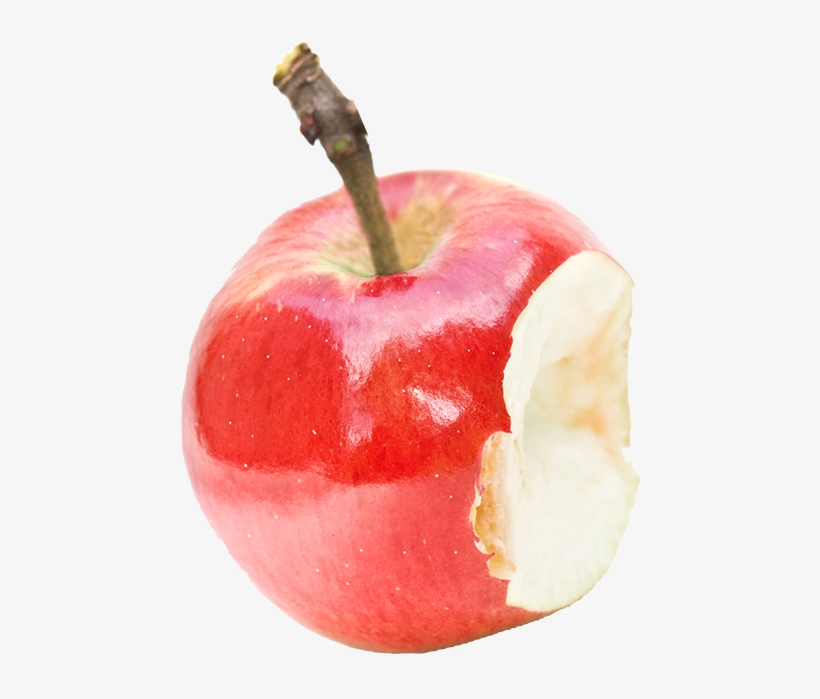 End Waste - Apple, transparent png