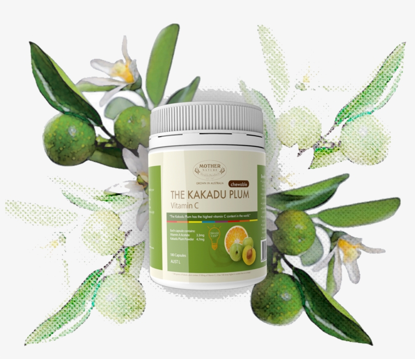 Enquire Now - Desert Lime & Sea Parsley Candle Fragrance Oil, transparent png