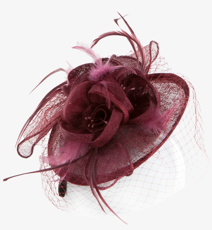 Feather And Mesh Decorated - Fascinator Hat Transparent Background, transparent png