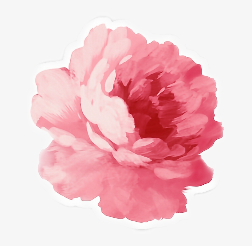 Pink Peony Png, transparent png