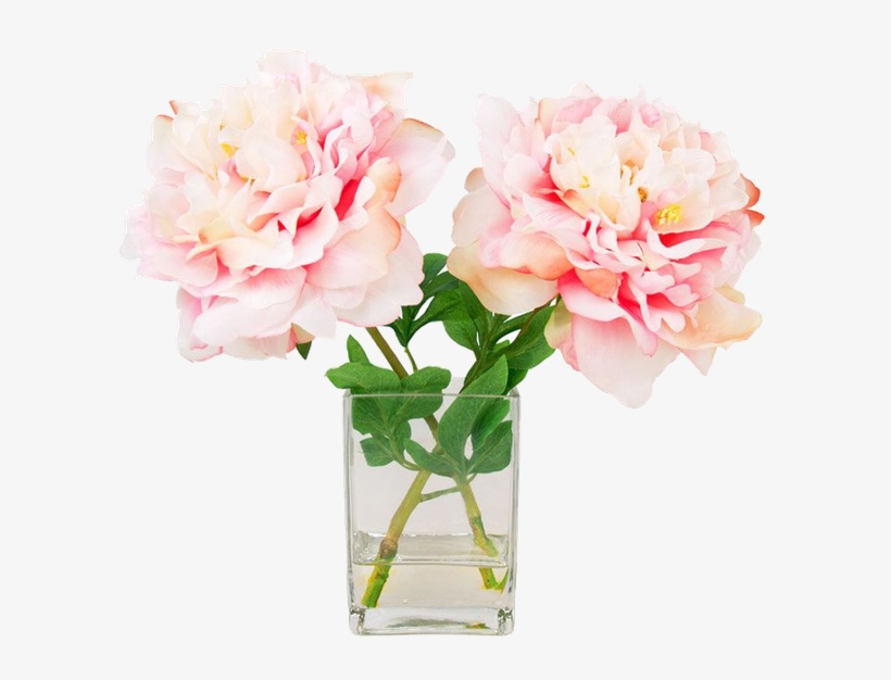 Blushing Peony | Floral Flowers | Creative Designs, transparent png