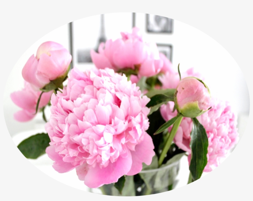 Go To Image - Peony, transparent png