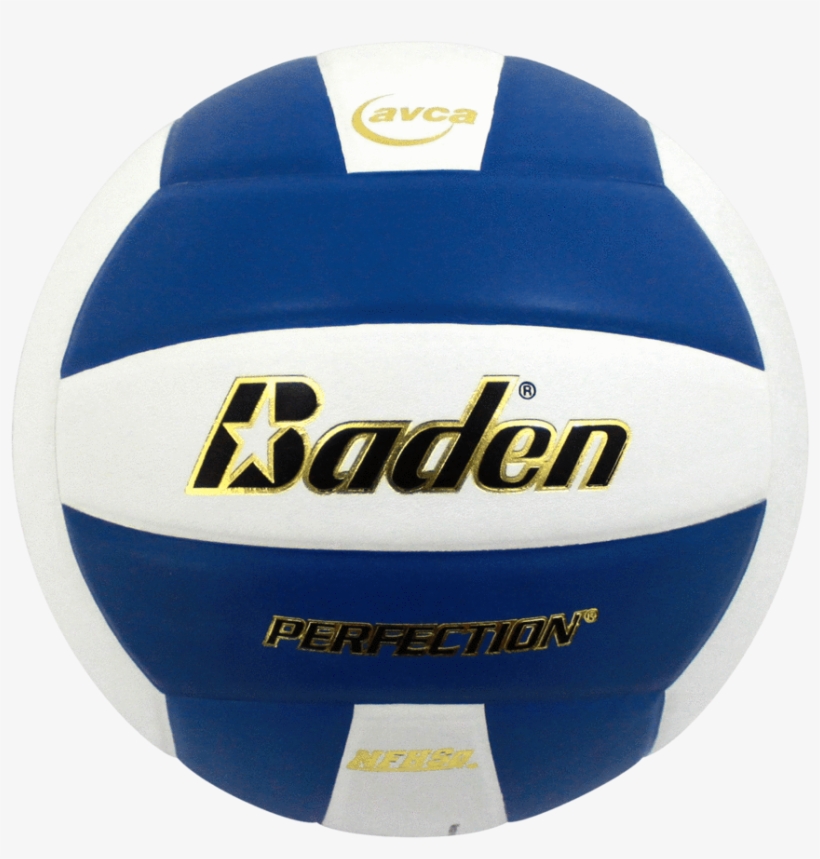 Perfection Leather Volleyball - Baden Volleyballs, transparent png
