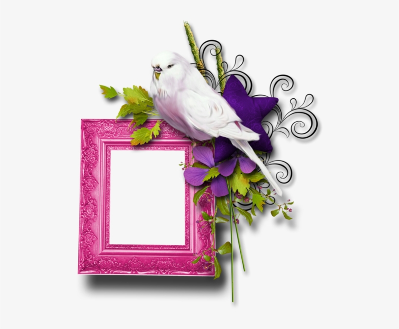 Scooter - Rough & Tough & Dangerous - Rough, transparent png