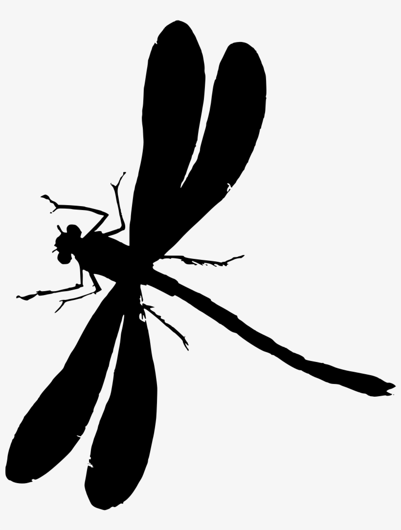 Download Png - Dragonfly Vector, transparent png