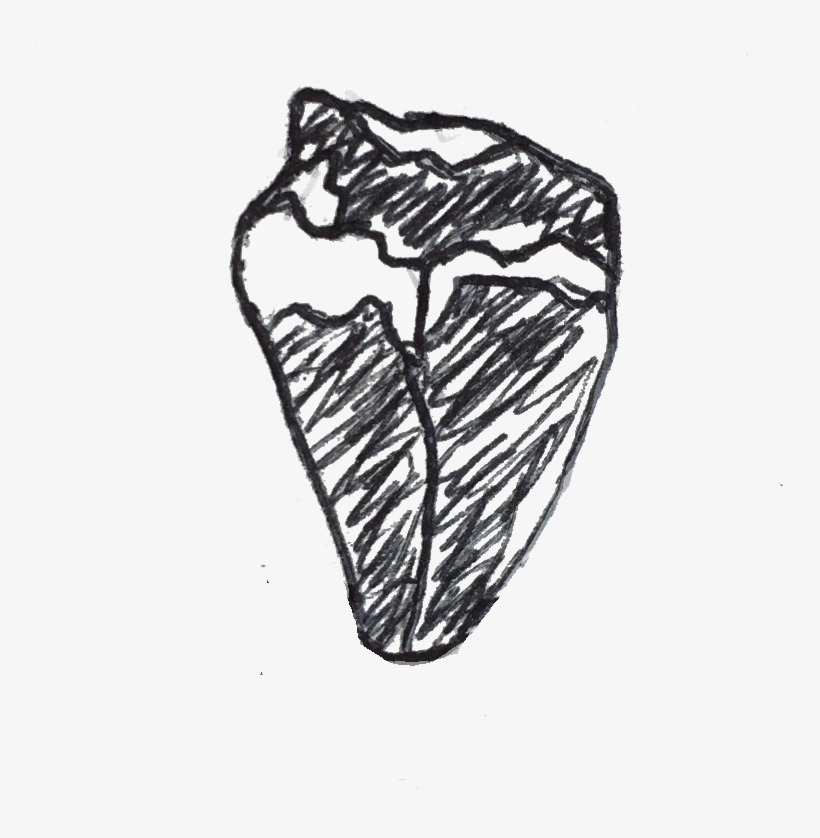 Dave Eats A Deer Heart - Sketch, transparent png