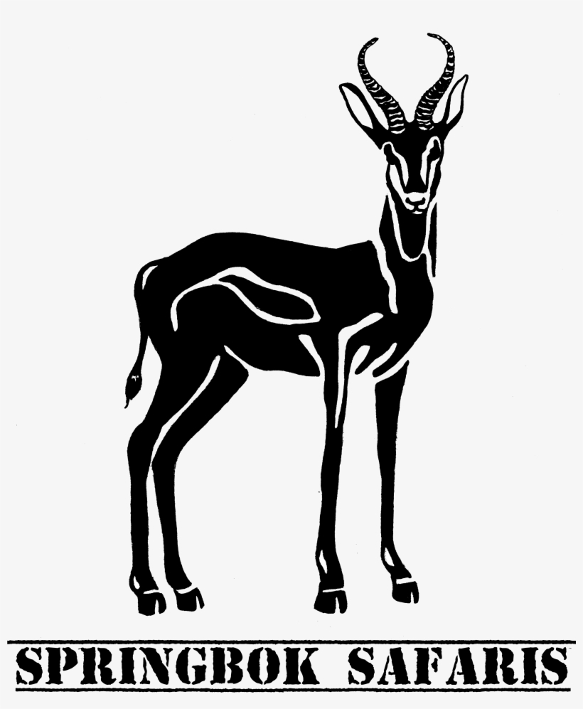 An Hunting Experience In The Heart Of Africa You Will - Springbok, transparent png
