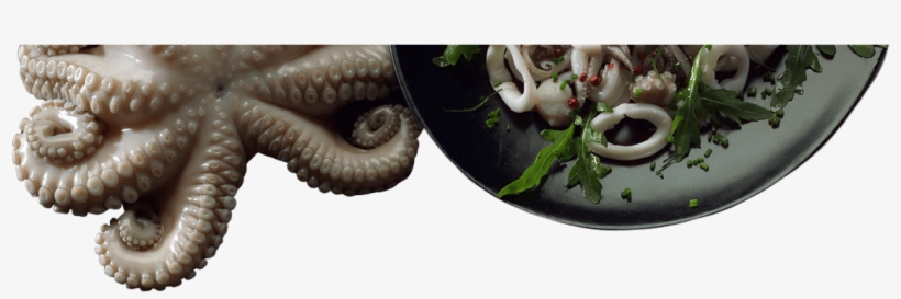 Super Fresh - Illustration, transparent png