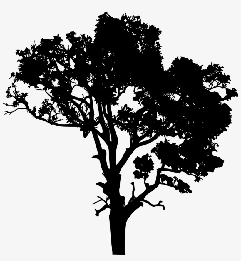 20 Tree Silhouette Vol - Portable Network Graphics, transparent png
