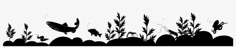 For Ages 12 And Under And Seniors Grilled Cheese Sandwich - Silhouette, transparent png