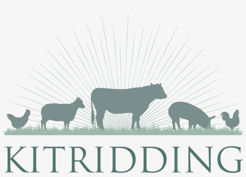 Kitridding Farm - Dairy Cow, transparent png