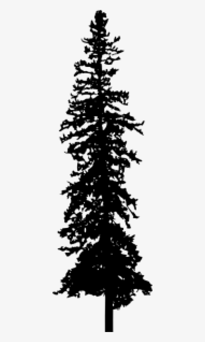 Pine Tree Silhouette - Portable Network Graphics, transparent png