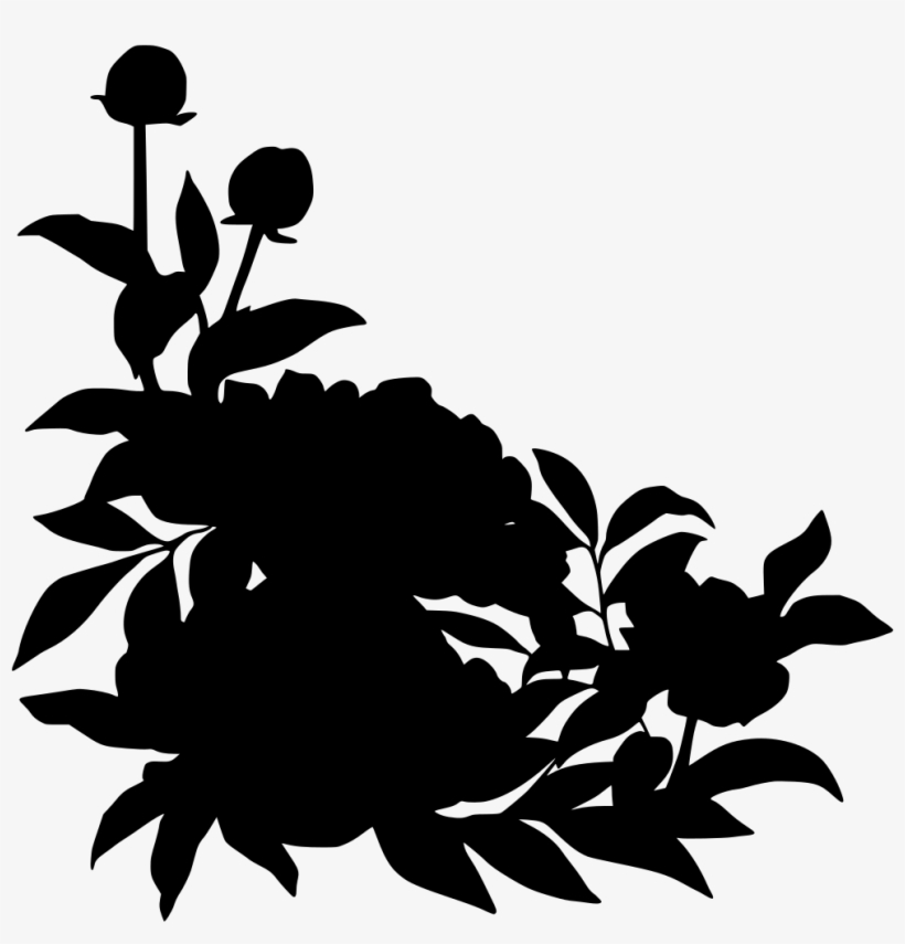 Download Png - Peony, transparent png