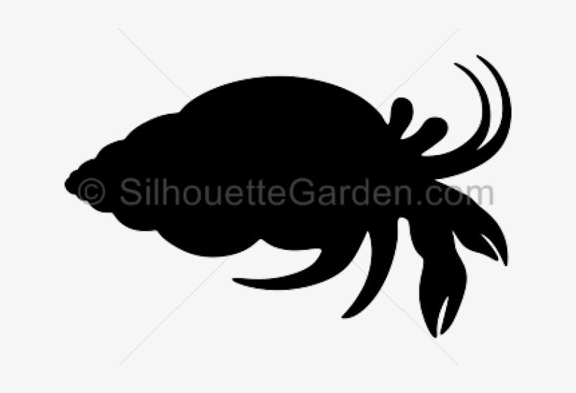Silueta Cangrejo Ermitaño, transparent png