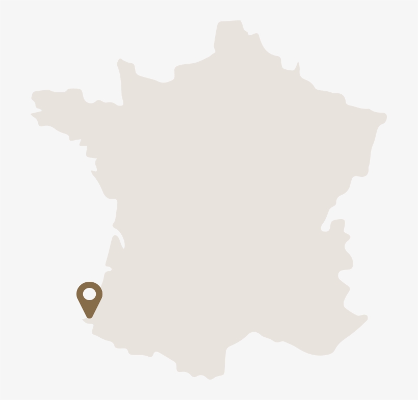 Carte Belharra, transparent png