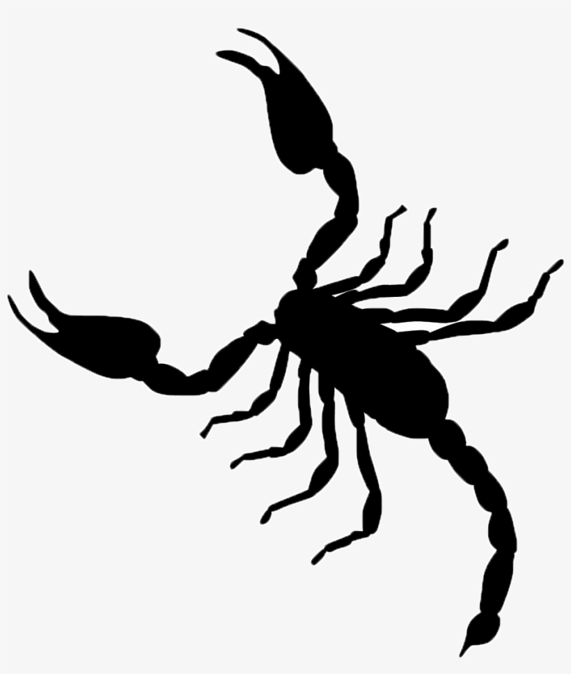 Elephant Dog Dog01 Cat Dogs01 Paw Scorpio Croc - Understanding The Alacran By Jonathan Lapoma, transparent png