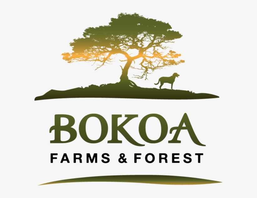 Bokoa Farms Is A Veteran-owned, Family Farm And Forest - Bokoa Farms And Forest, transparent png