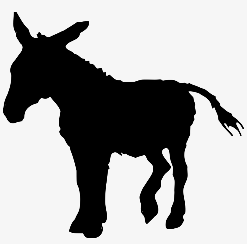 Download Png - Donkey Clip Art, transparent png